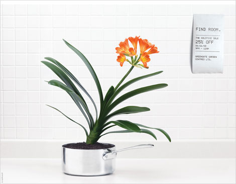 Bold green and orange plant potted in stainless steel sauce pan with a receipt on the wall saying "find room"