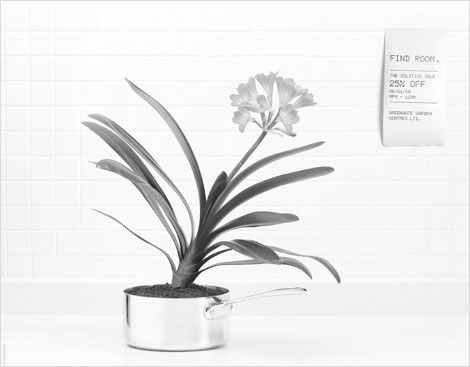 Grayscale photograph of plant in pot with receipt