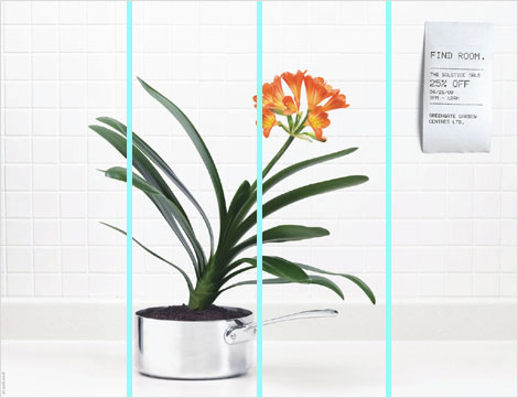 Photograph of plant in pot with receipt, divided into fourth with turquoise lines
