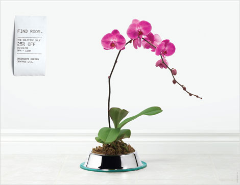 Bright pink orchid planted in a pet food bowl with receipt on the wall.