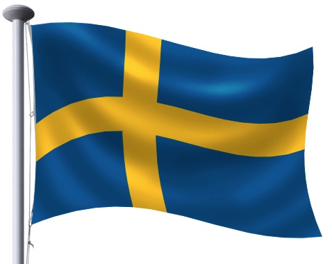 flag step 15 flag step 15