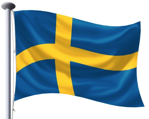 flag step 18 flag step 18