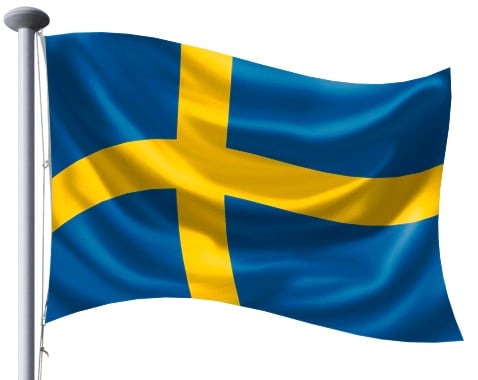 flag step 20 flag step 20