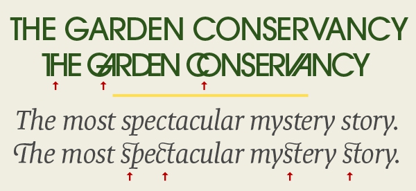 Typefaces showing discretionary ligatures